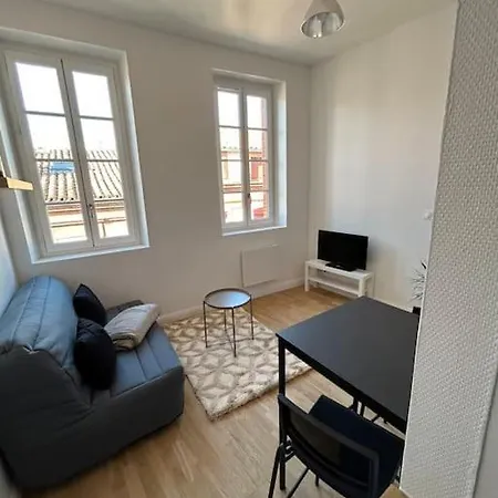 Le Cygne Blanc - Hypercentre Apartament