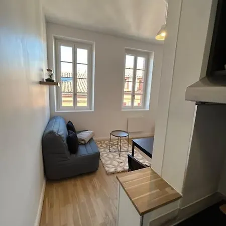 Apartament Le Cygne Blanc - Hypercentre